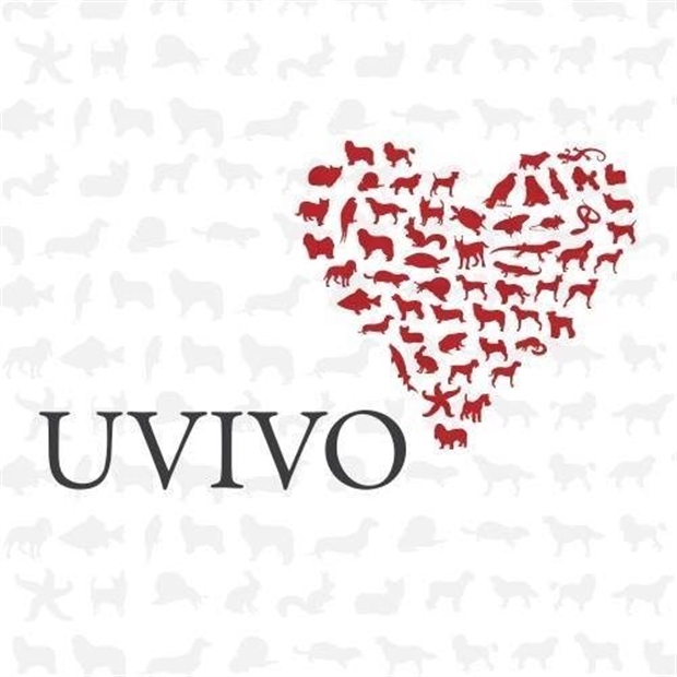 UVIVO