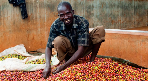 The Coffee Wastewater Project