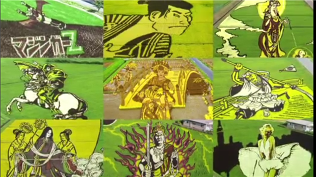 Рисовый код