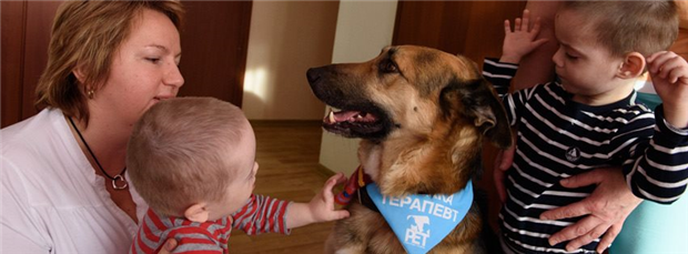 PET "Paws Expel Troubles" Собаки-терапевты