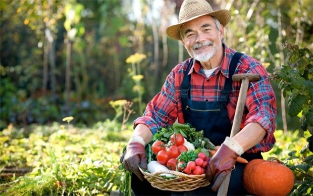 фестиваль экологичной еды