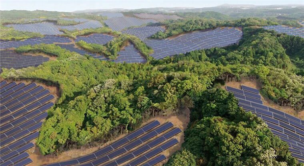 Фермы, производящие солнечную энергию